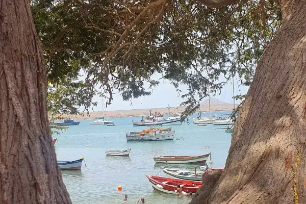 Mar com botes